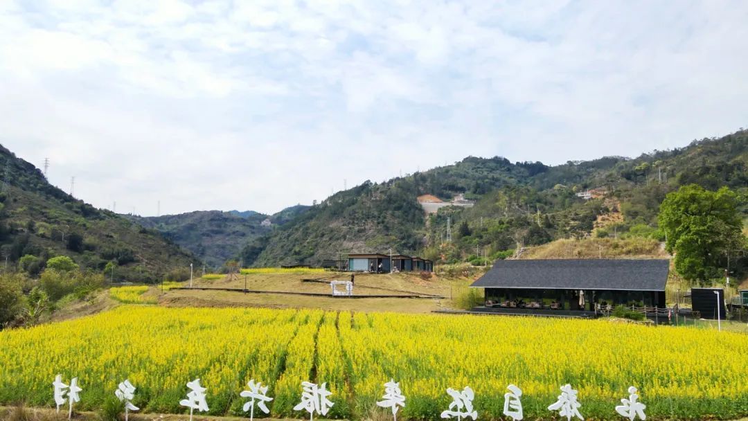  最美人間四月天，永泰的春日“頂流”已登場(chǎng)！